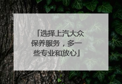 选择上汽大众保养服务，多一些专业和放心