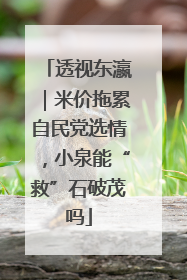 透视东瀛｜米价拖累自民党选情，小泉能“救”石破茂吗