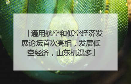 通用航空和低空经济发展论坛首次亮相，发展低空经济，山东机遇多