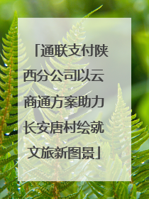 通联支付陕西分公司以云商通方案助力长安唐村绘就文旅新图景