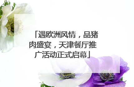 遇欧洲风情，品猪肉盛宴，天津餐厅推广活动正式启幕