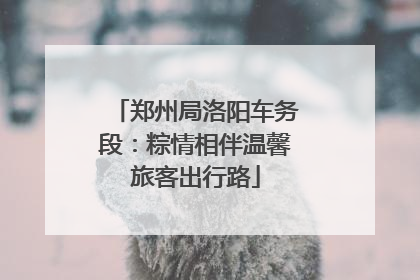 郑州局洛阳车务段：粽情相伴温馨旅客出行路