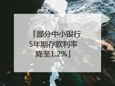部分中小银行5年期存款利率降至1.2%