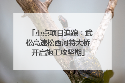重点项目追踪：武松高速松西河特大桥开启施工攻坚期