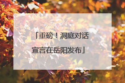 重磅！洞庭对话宣言在岳阳发布