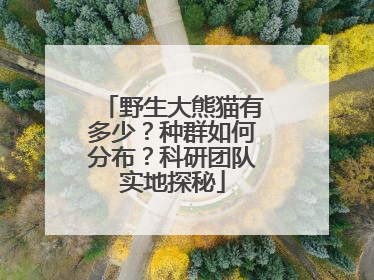 野生大熊猫有多少？种群如何分布？科研团队实地探秘