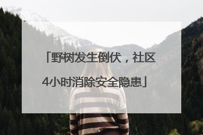 野树发生倒伏，社区4小时消除安全隐患