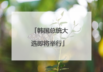 韩国总统大选即将举行