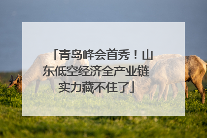 青岛峰会首秀！山东低空经济全产业链实力藏不住了