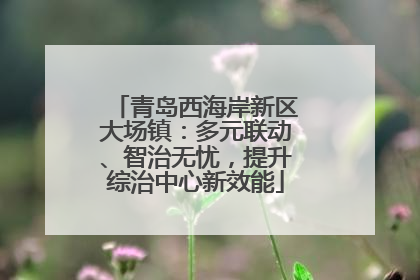 青岛西海岸新区大场镇：多元联动、智治无忧，提升综治中心新效能