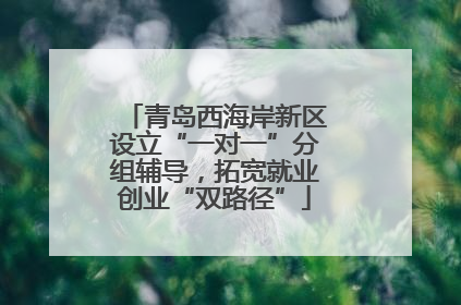 青岛西海岸新区设立“一对一”分组辅导，拓宽就业创业“双路径”