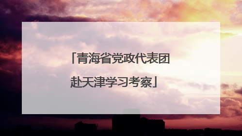 青海省党政代表团赴天津学习考察
