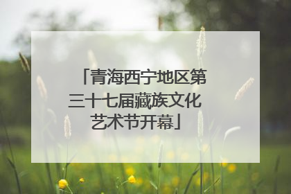 青海西宁地区第三十七届藏族文化艺术节开幕
