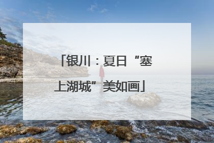 银川：夏日“塞上湖城”美如画