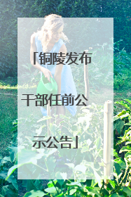 铜陵发布干部任前公示公告