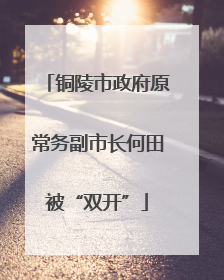 铜陵市政府原常务副市长何田被“双开”