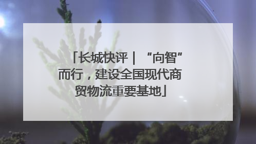 长城快评｜“向智”而行，建设全国现代商贸物流重要基地