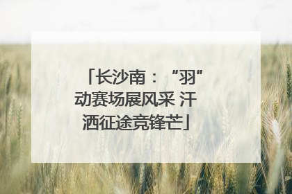 长沙南：“羽”动赛场展风采 汗洒征途竞锋芒