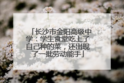 长沙市金阳高级中学：学生食堂吃上了自己种的菜，还出现了一批劳动能手