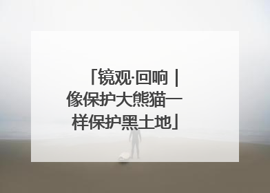 镜观·回响｜像保护大熊猫一样保护黑土地