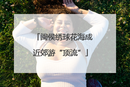 闽侯绣球花海成近郊游“顶流”