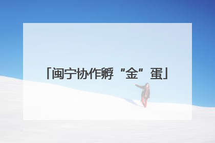 闽宁协作孵“金”蛋