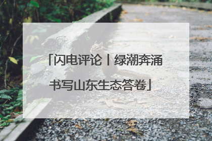 闪电评论丨绿潮奔涌 书写山东生态答卷
