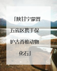 陕甘宁蒙晋五省区携手保护古脊椎动物化石
