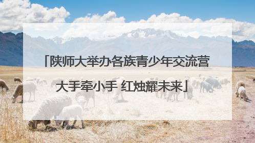 陕师大举办各族青少年交流营 大手牵小手 红烛耀未来