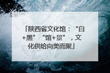 陕西省文化馆：“白+黑”“馆+景”，文化供给向美而聚