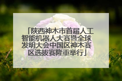 陕西神木市首届人工智能机器人大赛暨全球发明大会中国区神木赛区选拔赛隆重举行