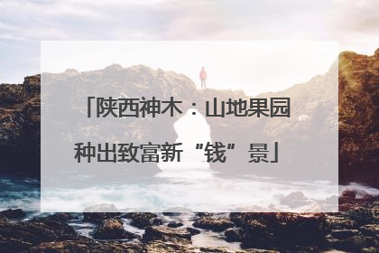 陕西神木：山地果园种出致富新“钱”景