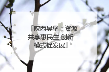 陕西吴堡：资源共享惠民生 创新模式促发展