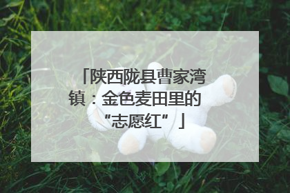 陕西陇县曹家湾镇：金色麦田里的“志愿红”