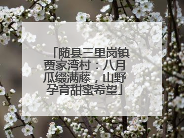 随县三里岗镇贾家湾村：八月瓜缀满藤，山野孕育甜蜜希望