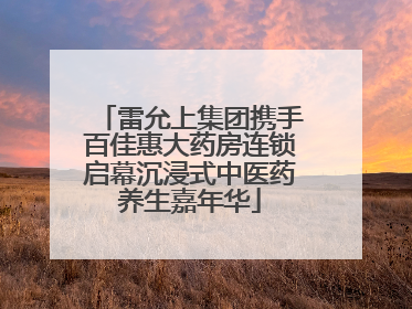 雷允上集团携手百佳惠大药房连锁启幕沉浸式中医药养生嘉年华