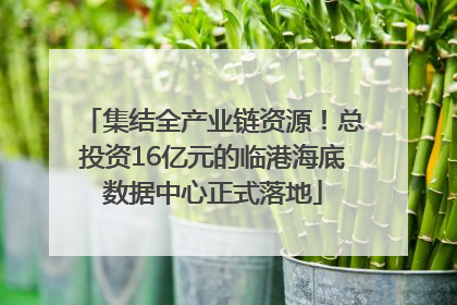 集结全产业链资源！总投资16亿元的临港海底数据中心正式落地