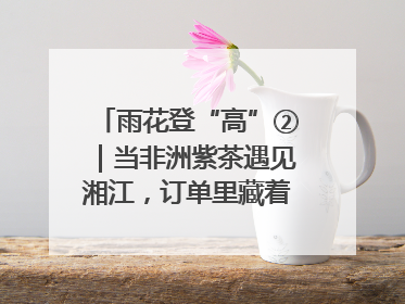 雨花登“高”②｜当非洲紫茶遇见湘江，订单里藏着共富密码