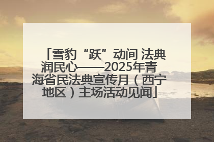 雪豹“跃”动间 法典润民心——2025年青海省民法典宣传月（西宁地区）主场活动见闻