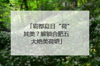 霸都夏日“荷”其美？解锁合肥五大绝美荷塘