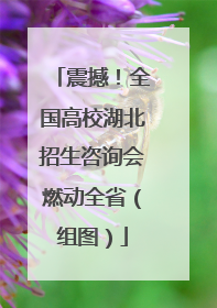 震撼！全国高校湖北招生咨询会燃动全省（组图）