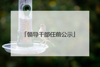领导干部任前公示