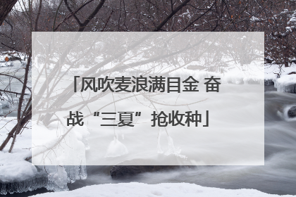 风吹麦浪满目金 奋战“三夏”抢收种