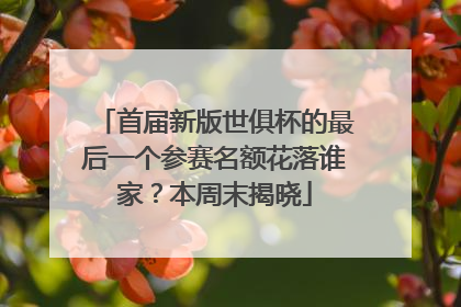 首届新版世俱杯的最后一个参赛名额花落谁家？本周末揭晓