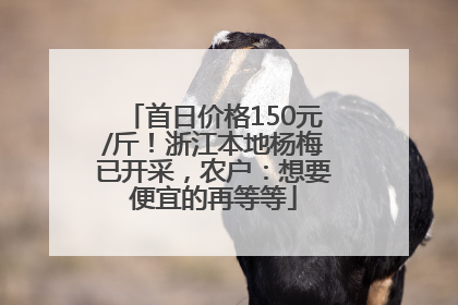 首日价格150元/斤！浙江本地杨梅已开采，农户：想要便宜的再等等