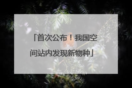 首次公布！我国空间站内发现新物种
