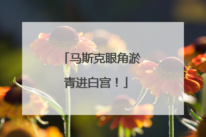 马斯克眼角淤青进白宫！