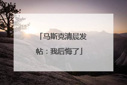马斯克清晨发帖：我后悔了