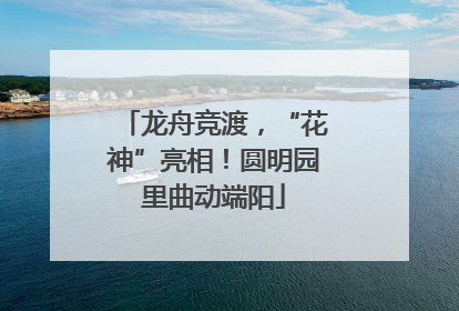 龙舟竞渡，“花神”亮相！圆明园里曲动端阳