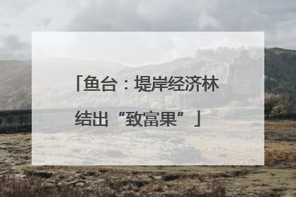 鱼台：堤岸经济林结出“致富果”